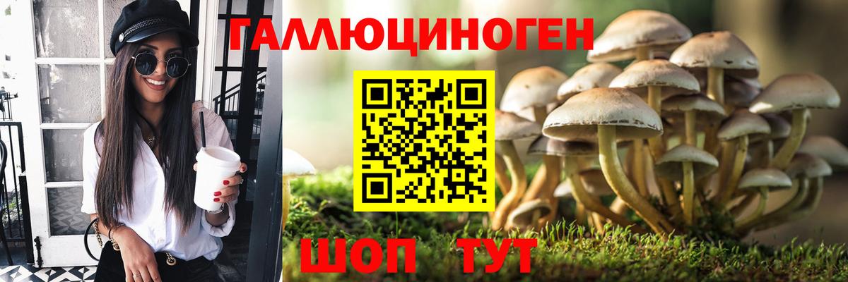 наркошоп  Вход с VPN  Апрелевка  Псилоцибиновые грибы MAGIC MUSHROOMS  Галлюциногенные грибы мицелий 